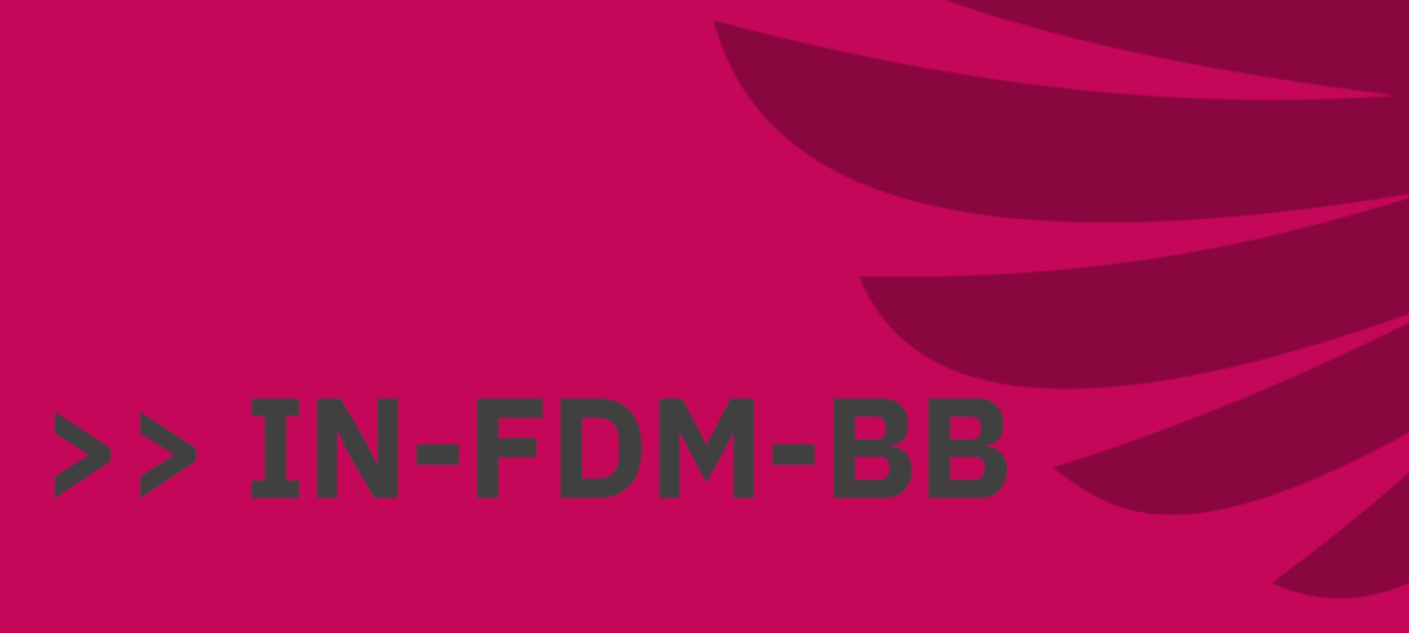 IN-FDM-BB_Startseite-Website